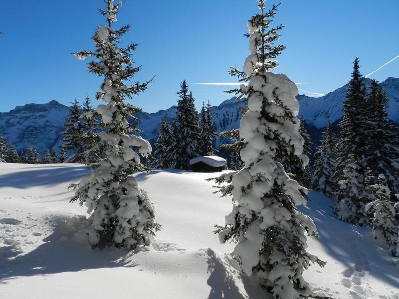 Apartment Peer Neustift im Stubaital Luaran gambar