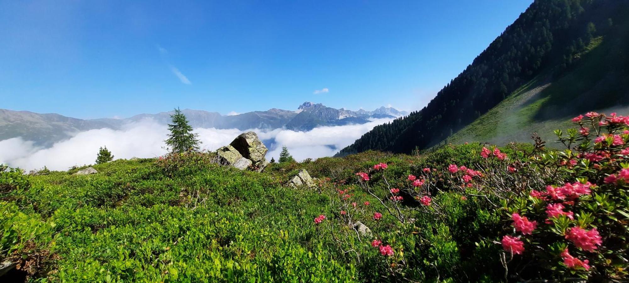 Apartment Peer Neustift im Stubaital Luaran gambar